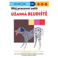 Úžasná bludiště - Můj pracovní sešit Svojtka & Co. s. r. o.