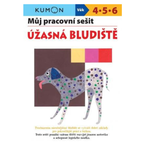 Úžasná bludiště - Můj pracovní sešit Svojtka & Co. s. r. o.