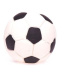 Lanco Pets - Fotbalový míč midi