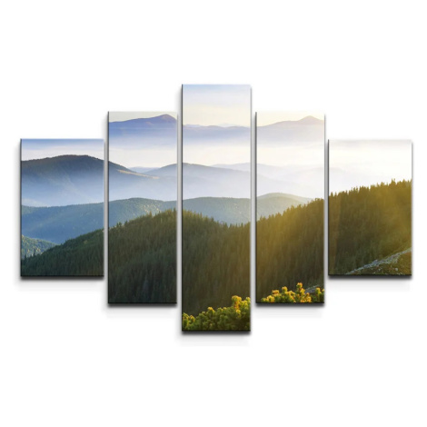 Obraz - 5-dílný Příroda - 125x90 cm