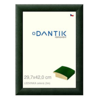 DANTIK rámeček 29,7 × 42, LEDVINKA zelený plexi čiré