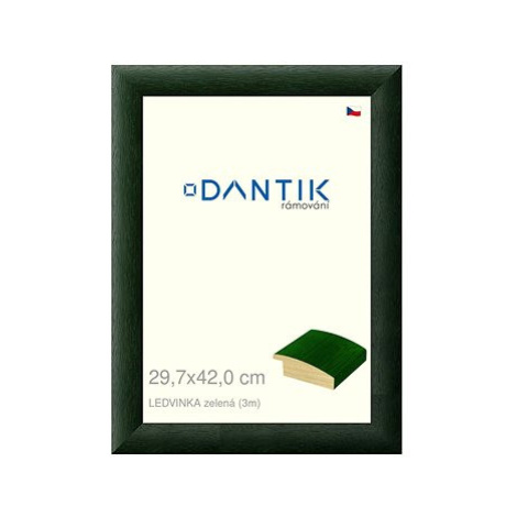 DANTIK rámeček 29,7 × 42, LEDVINKA zelený plexi čiré