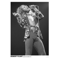 Plakát, Obraz - Led Zeppelin - Robert Plant March 1975 (colour), 59.4 × 84 cm