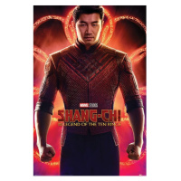 Plakát Shang-Chi and the Legend of the Ten Rings - Flex (263)