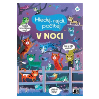 Hledej, najdi, počítej - V noci