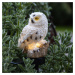 STAR TRADING LED solární světlo Owl se zapichovacím hrotem