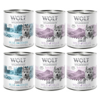 6 x 800 g míchaná balení - Wolf of Wilderness - 6 x 800 g: 4x kachní & telecí, 2x kuřecí & losos