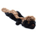 Vsepropejska Beky plyšové zvířátko hračka pro psa Typ: Lemur, Délka: 45