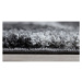 Kusový černý koberec Fantasy 12558-160 Rozměry: 160x230