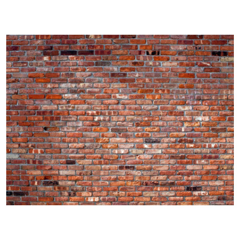 KUPSI-TAPETY Obrazová fototapeta na zeď čtyřdílná FT 1449 kamenná zeď 360 x 270 cm