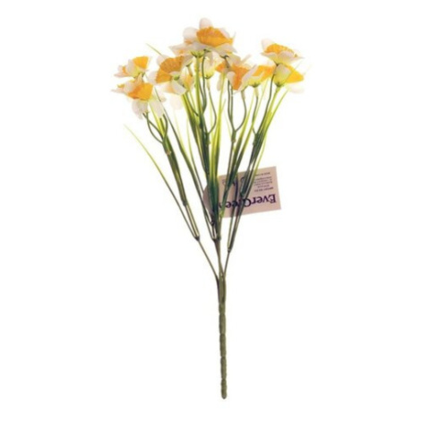 Narcis kytice s 15-ti květy, výška 32 cm