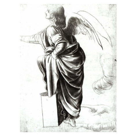 Leonardo da (attr.to) Vinci - Obrazová reprodukce Study of an Angel (chalk on paper), (30 x 40 c