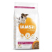 IAMS Dog Senior Small & Medium Chicken 3 kg