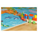 Dětský kusový koberec Torino kids 233 WORLD MAP 80x120 cm