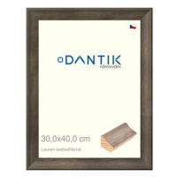 DANTIK rámeček 30 × 40, Lauren šedostříbrný plexi čiré