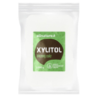 Allnature Xylitol - březový cukr 1000 g