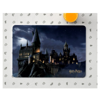 Dětské prostírání Harry Potter Hogwarts, 42 x 30 cm