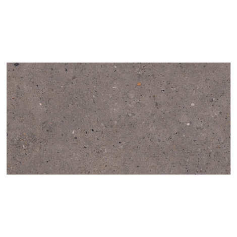 Dlažba Pastorelli Biophilic dark grey 30x60 cm mat P009501