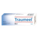 TRAUMEEL S Mast 50 g