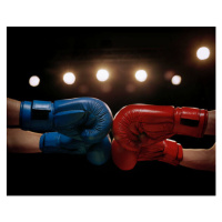 Fotografie Close Up of Boxers Touching Boxing, Glasshouse Images, 40 × 35 cm