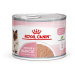 Royal Canin Mother & Babycat Ultra Soft Mousse - 24 x 195 g