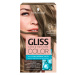 Schwarzkopf Gliss Color barva na vlasy Chladná Střední Blond 8-1