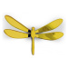Nástěnná 3D dekorace Crearreda SD Gold Dragonflies 24014 Zlaté vážky