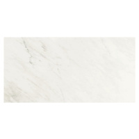 Dlažba Graniti Fiandre Marble Lab Premium White 60x120 cm leštěná AL191X864