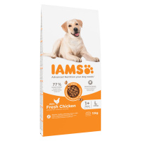 IAMS Advanced Nutrition Adult Large Dog s kuřecím -- Výhodné balení: 2 x 12 kg