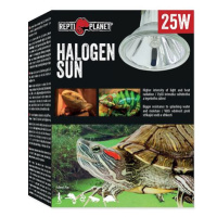 Žárovka REPTI PLANET Halogen Sun 25 W