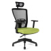 Office Pro Kancelářská židle THEMIS SP - TD-20, zelená