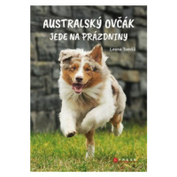 Australský ovčák jede na prázdniny - Leona Tomšů