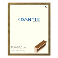 DANTIK rámeček 40 × 50, KASSETTE zlatý sklo čiré