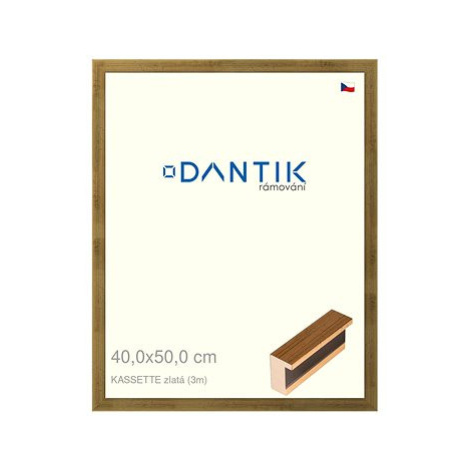 DANTIK rámeček 40 × 50, KASSETTE zlatý sklo čiré