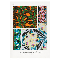 Ilustrace Butterflies 17, Studio Collection, (30 x 40 cm)