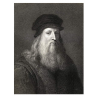 Fotografie Leonardo da Vinci  engraving), English School,, 30 × 40 cm