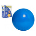 Gymnastický míč 65 cm - rehabilitační, relaxační