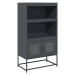 vidaXL Skříň highboard antracitová 68x39x123 cm ocel