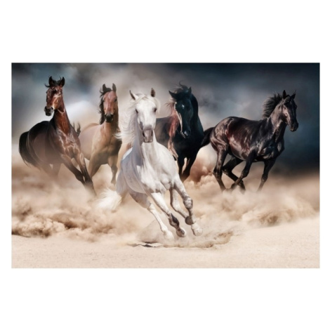 Signal Obraz HORSES | 120 x 80 cm