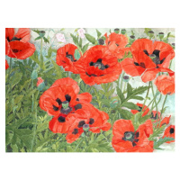 Linda Benton - Obrazová reprodukce Poppies, (40 x 30 cm)