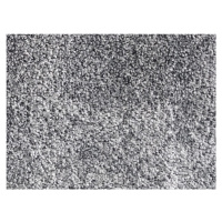 Spoltex koberce Liberec AKCE: 110x238 cm Metrážový koberec Absolute 1538 Šedý - Bez obšití cm