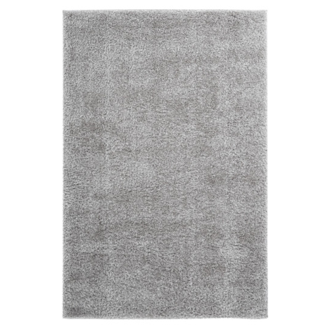 Obsession koberce Kusový koberec Emilia 250 silver Rozměry koberců: 60x110