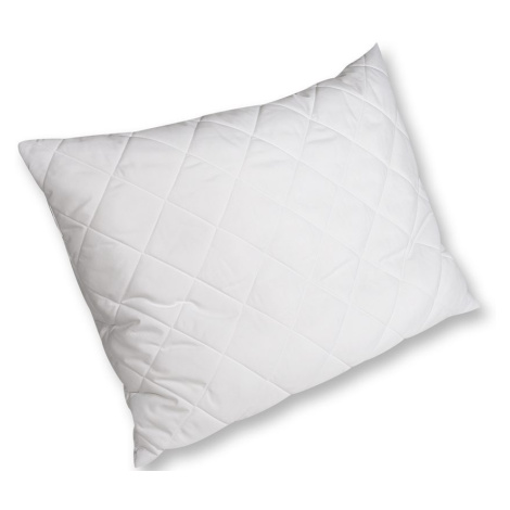 2G Lipov Polštář Aloe Vera - 40x55 cm