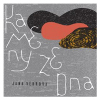 Kameny ze dna - Jana Vébrová