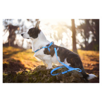 Vsepropejska Georgia postroj pro psa s vodítkem Barva: Modrá, Obvod hrudníku: 49 - 72 cm