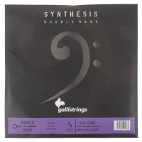 Galli BSN 910 Synthesis Bass SYC Nylon 3/4