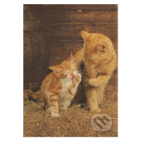 Ginger Cats - puzzle z kategorie Zvířata