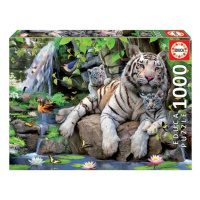 Educa 14808 puzzle bílí bengálští tygři 1000 dílků