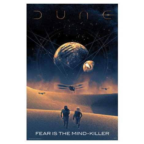 Plakát, Obraz - Dune - Fear is the mind-killer, (61 x 91.5 cm) ABY STYLE