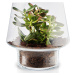 EVA SOLO Skleněná váza na sukulenty 21 cm rozbalený produkt - rozbalený produkt